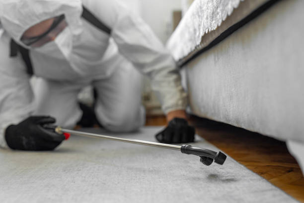 Professional Termite Control technician working in Benton, AR